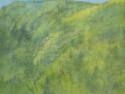 Ginsterblühet, Acryl a/L, 72x72cm